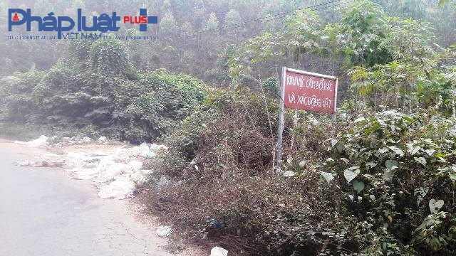 Mặc d&ugrave; c&oacute; biển cấm nhưng h&agrave;ng ng&agrave;y vẫn xuất hiện những bao tải lợn v&ocirc; chủ (Ảnh Đ&agrave;o Tấn)