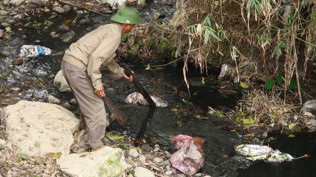 Sau cơn mưa ng&agrave;y 31/04, nhiều x&aacute;c động vật đổ dồn về s&ocirc;ng Ph&oacute; Đ&aacute;y (Ảnh ĐV)