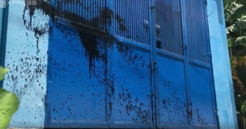 Nhiều hộ dân ở TP HCM bị tạt sơn vào nhà lúc nửa đêm