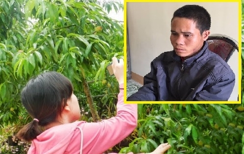 Sơn La: Vờ rủ đi hái mận để cưỡng bức bé gái