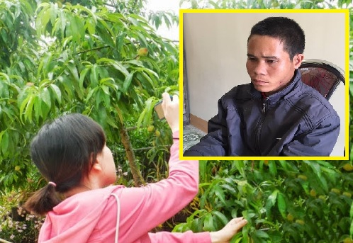 Nghi can Toản (ảnh nhỏ) dụ ch&aacute;u b&eacute; h&agrave;ng x&oacute;m (5 tuổi) v&agrave;o vườn mận rồi hiếp d&acirc;m. (Ảnh: VTC New)