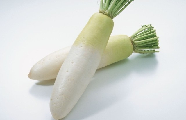 Củ cải biến đổi gen