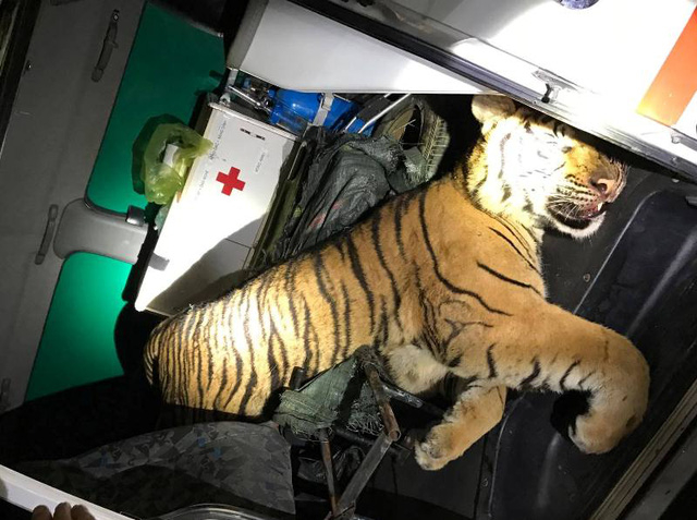 Khi bị ph&aacute;t hiện, l&aacute;i xe đ&atilde; bỏ lại xe chạy trốn v&agrave;o rừng.