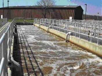 Xử l&yacute; nitơ, phốt pho kh&ocirc;ng đ&uacute;ng c&aacute;ch ảnh hưởng đến sức khỏe con người v&agrave; m&ocirc;i trường.