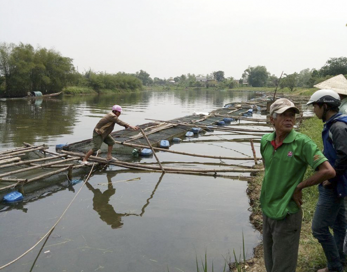Hơn 200 lồng c&aacute; của người d&acirc;n đang trong t&igrave;nh trạng