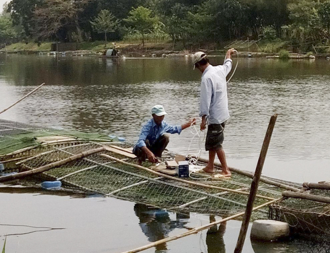 Hiện người d&acirc;n phải lắp hệ thống sục kh&iacute;, tăng &ocirc;xi cho c&aacute;, hy vọng giảm bớt thiệt hại.