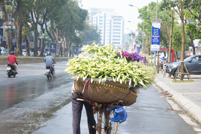 Th&aacute;ng tư tr&ecirc;n khắp c&aacute;c ngả đường ch&uacute;ng ta lu&ocirc;n bắt gặp những xe h&agrave;ng rong ruổi tr&ecirc;n c&aacute;c con phố l&agrave;m ai nh&igrave;n thấy cũng phải xốn xang, y&ecirc;u đời.