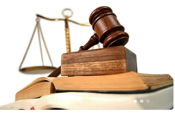 H&igrave;nh minh họa.