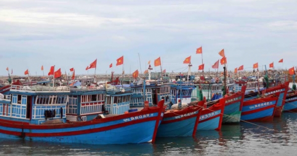 Đảm bảo chất lượng tàu cá: Nên “siết” đăng kiểm và “nới lỏng” điều kiện đóng tàu