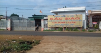 Gia Lai: Doanh nghiệp vỡ nợ, người dân trắng tay