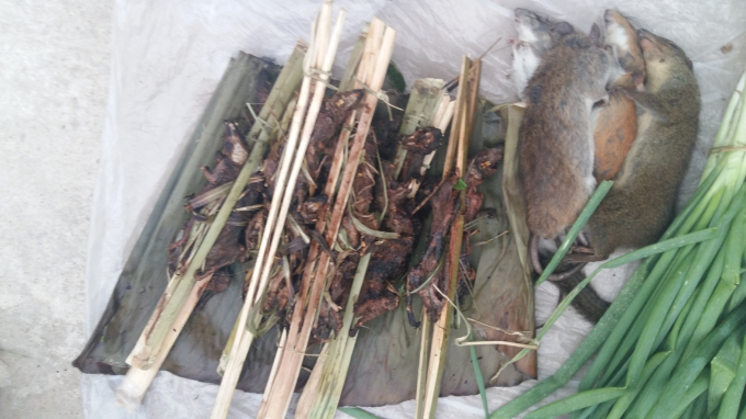 C&aacute;c mặt h&agrave;ng như chuột nướng, s&oacute;c nướng, nh&aacute;i nướng... được b&agrave;y b&aacute;n rất nhiều.