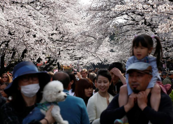 Du kh&aacute;ch tản bộ ngắm hoa.