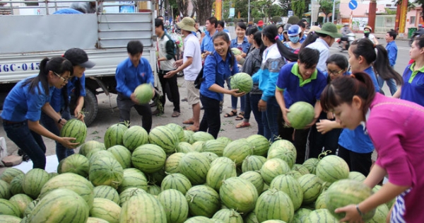 Bản tin kinh tế Plus: 