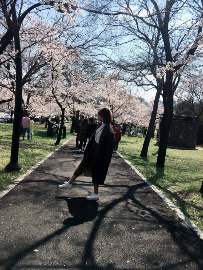 M&ugrave;a xu&acirc;n, H&agrave;n Quốc trở n&ecirc;n huyền ảo hơn với sắc hồng phơn phớt ẩn tr&ecirc;n từng ch&ugrave;m hoa nở rộ dọc miền đất nước, như mời gọi du kh&aacute;ch đến đ&acirc;y thưởng ngoạn.