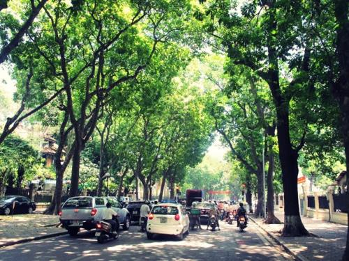 Bắc Bộ đ&oacute;n nắng ấm trở lại. Ảnh: minh họa/ Nguồn: TTXVN