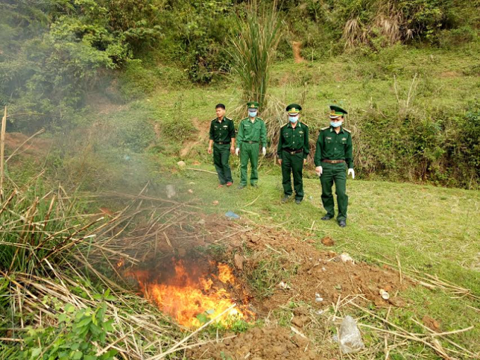 Lực lượng chức năng tiến h&agrave;nh ti&ecirc;u hủy số g&agrave; lậu đảm bảo ph&ograve;ng dịch.