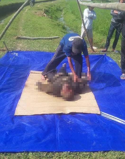 Nạn nh&acirc;n sau đ&oacute; được x&aacute;c định l&agrave; anh Vũ Văn Phong, tr&uacute; tại x&atilde; Quỳnh Hưng.