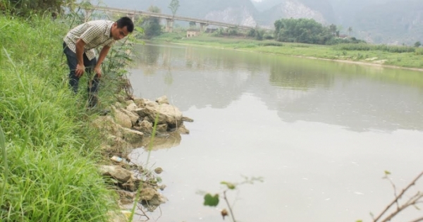 Nghệ An: Thiếu trách nhiệm, dự án bờ kè tiền tỷ thành “mồi” cho hà bá