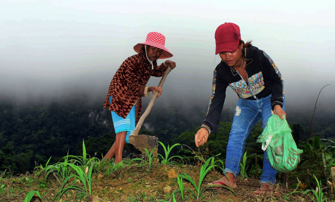 Ngo&agrave;i l&uacute;a nước, họ c&ograve;n trồng th&ecirc;m c&acirc;y ng&ocirc;, c&acirc;y sắn để l&agrave;m lương thực.