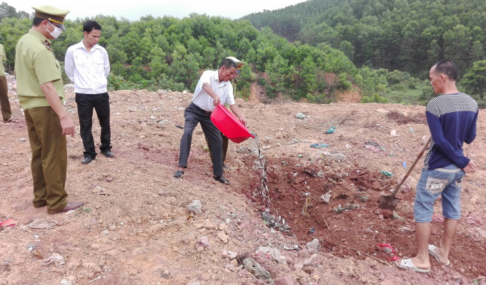 Cơ quan chức năng ti&ecirc;u hủy số c&aacute; giống kh&ocirc;ng r&otilde; nguồn gốc.