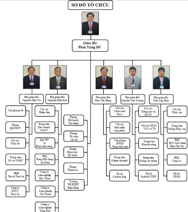 Sơ đồ tổ chức Sở NN&amp;amp;amp;PTNT B&igrave;nh Định c&oacute; tới 5 Ph&oacute; gi&aacute;m đốc sở.