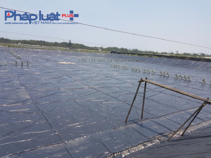 C&aacute;c hồ nu&ocirc;i t&ocirc;m tại x&atilde; Điền Hương chưa thể hoạt động, khi c&aacute;c chủ hồ t&ocirc;m vẫn chờ&nbsp;tiền hỗ trợ từ UBND huyện.