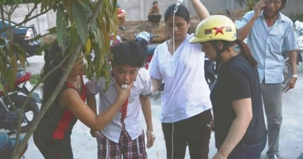 Ăn quả ngô đồng, hàng chục học sinh nghi bị ngộ độc