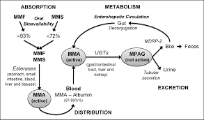 Bảo hiểm tạm thời thanh toán 2 loại thuốc vừa bị dừng chi trả đột ngột