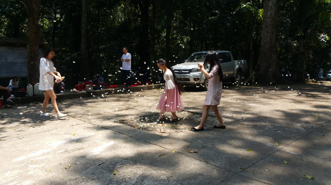 Thời điểm bướm nở rộ cũng l&agrave; l&uacute;c rừng C&uacute;c Phương thu h&uacute;t đ&ocirc;ng c&aacute;c bạn trẻ đến tham quan nhất. Đ&acirc;y l&agrave; cơ hội hiếm c&oacute; để mọi người lưu giữ lại những khoảnh khắc đặc biệt c&oacute; một kh&ocirc;ng hai n&agrave;y.