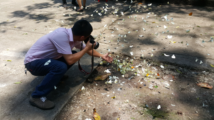 Nhiều du kh&aacute;ch kh&ocirc;ng qu&ecirc;n ghi lại khoảnh khắc đẹp n&agrave;y