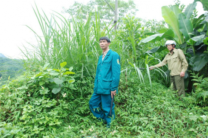 Lực lượng chức năng đang truy t&igrave;m, v&acirc;y bắt nghi phạm giết người.