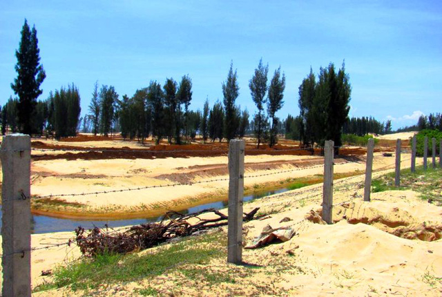 C&aacute;nh rừng hơn 30 năm tuổi giờ chỉ con thưa thớt v&agrave;i c&acirc;y. Khu vực thi c&ocirc;ng được bảo vệ bởi h&agrave;ng r&agrave;o th&eacute;p gai.