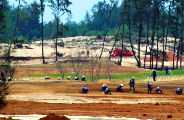 H&agrave;ng chục c&ocirc;ng nh&acirc;n được c&ocirc;ng thu&ecirc; để phục vụ ri&ecirc;ng cho việc trồng cỏ s&acirc;n golf.