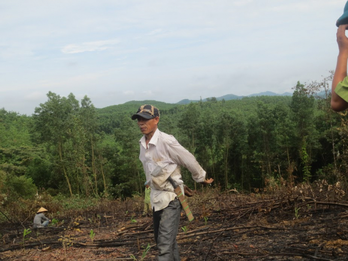 Hộ &ocirc;ng L&ecirc; Hữu Ch&iacute; ở x&atilde; Hương Giang đ&atilde; lấn chiếm hơn 7 h&eacute;c ta đất của c&ocirc;ng ty cao su. Sau mỗi đợt thu hoạch, &ocirc;ng Ch&iacute; lại đốt thực b&igrave; th&ocirc; sơ trong những đợt nắng n&oacute;ng rất nguy hiểm cho việc ch&aacute;y rừng.