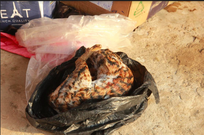 H&agrave; Tĩnh: Thu giữ hơn 1 tấn thực phẩm qu&aacute; hạn chưa kịp mang đi ti&ecirc;u thụ