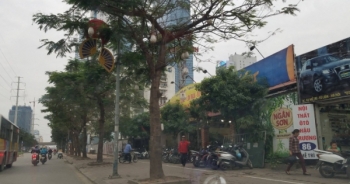 Địa ốc 24h: Hàng nghìn m2 đất nông nghiệp bị "xẻ thịt" thành nhà hàng