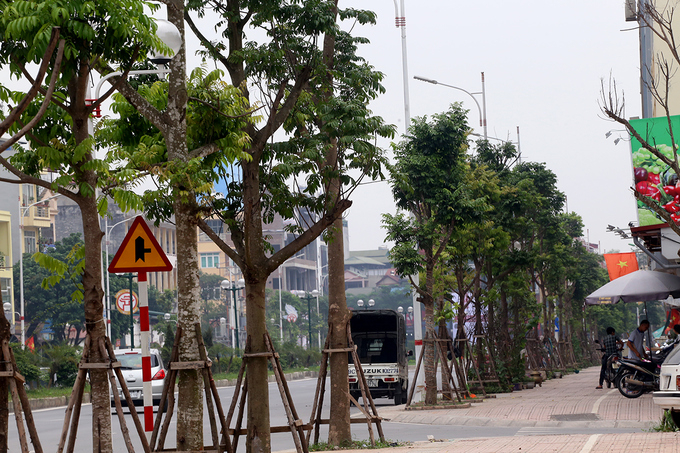 Tuyến đường được đầu tư đồng bộ hạ tầng kỹ thuật, cấp tho&aacute;t nước, chiếu s&aacute;ng, c&acirc;y xanh, hạ ngầm to&agrave;n bộ đường d&acirc;y điện v&agrave; c&aacute;p viễn th&ocirc;ng.