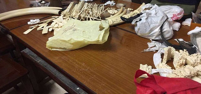 Tang vật c&oacute; cả sản phẩm đ&atilde; qua sơ chế.