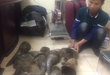 Bắt “trùm sỏ” chuyên buôn bán động vật hoang dã quý hiếm