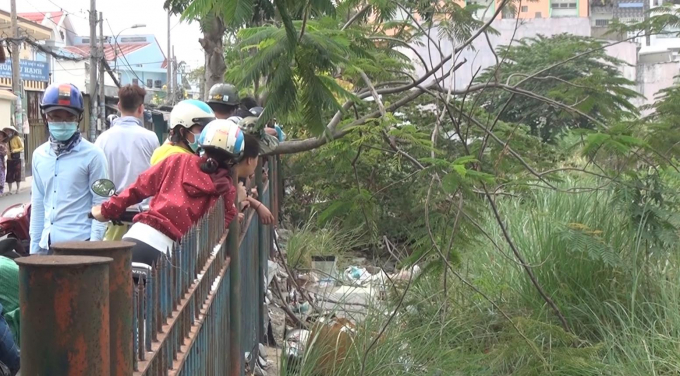 Khu vực ph&aacute;t hiến sự việc