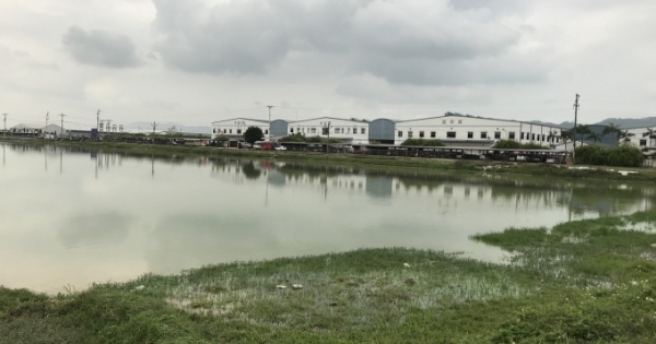 Xin cải tạo để trồng sen, đào hồ thành “hố tử thần” đem tài nguyên đi bán