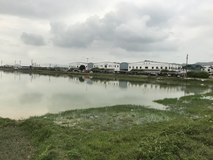 Sau nhiều năm được