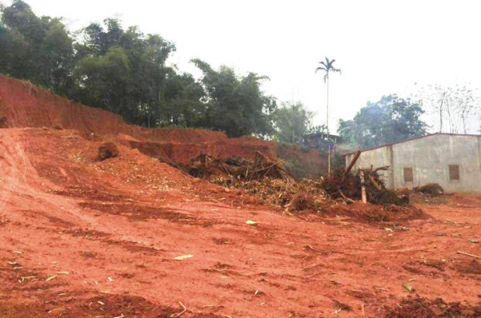 Con rể &ocirc;ng C&uacute;c, Ph&oacute; chủ tịch UBND huyện m&uacute;c đất n&aacute;t quả đồi trước gần cổng UBND x&atilde;. Ảnh: Nguyệt Chi