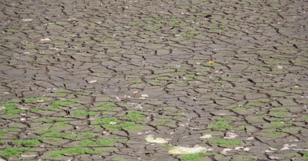 Ninh Thuận khô hạn, hồ thủy lợi cạn trơ đáy