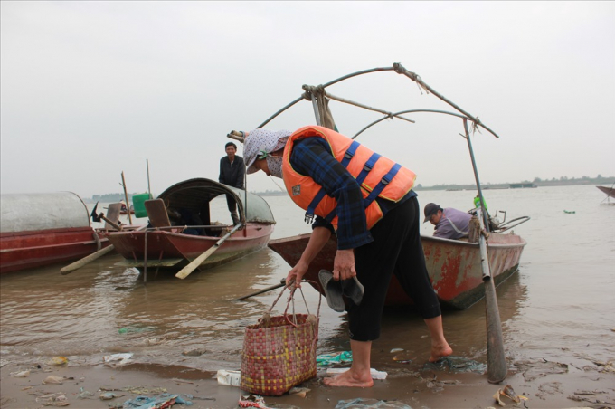 C&aacute; đ&aacute;nh bắt đến đ&acirc;u, được thu mua hết đến đ&oacute;