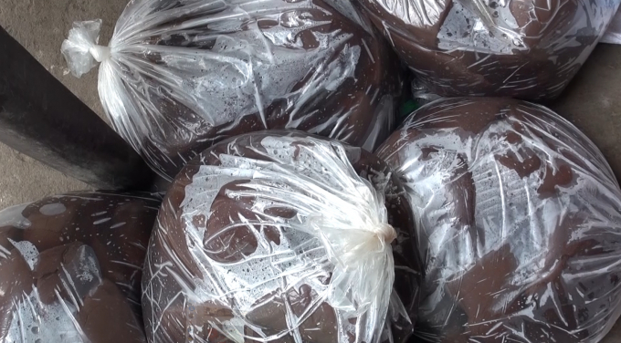 Tất cả đều đang bốc m&ugrave;i h&ocirc;i thối.