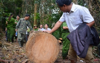 “Máu mình đổ xuống”