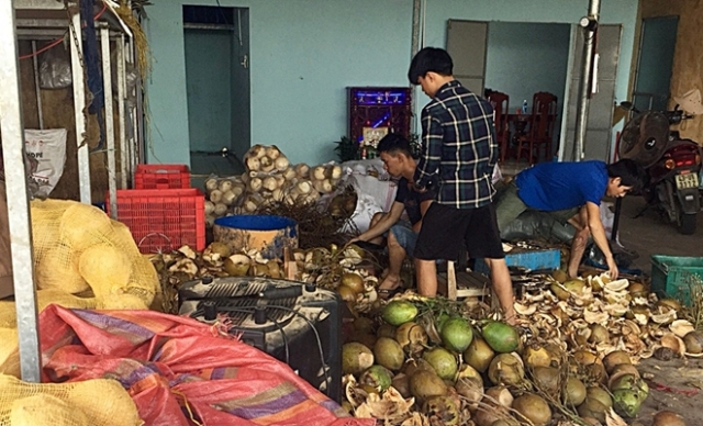 Ni&ecirc;m phong 200 quả dừa đ&atilde; ng&acirc;m h&oacute;a chất v&agrave; 100 l&iacute;t nước đ&atilde; pha h&oacute;a chất. Ảnh: CA Quảng Nam.