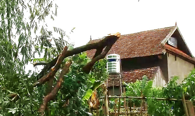 Trận mưa đ&aacute;, lốc xo&aacute;y khiến nhiều ng&ocirc;i nh&agrave;, c&acirc;y cối tr&ecirc;n địa b&agrave;n huyện Tương Dương bị hư hỏng.