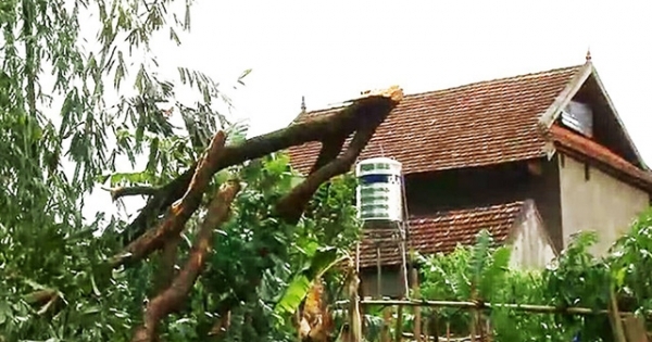 Huyện miền núi Nghệ An bị tàn phá nặng nề sau trận lốc xoáy, mưa đá